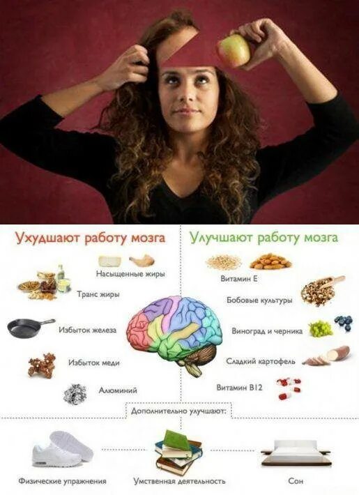 Продукты питания для мозга. Для улучшения памяти и работы мозга. Пища для улучшения памяти. Питание мозга человека. Нейрохакер