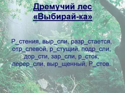 Дремучий лес это причастие