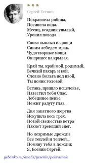 Есенин рябины красной