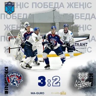 Снежные барсы хоккейный клуб