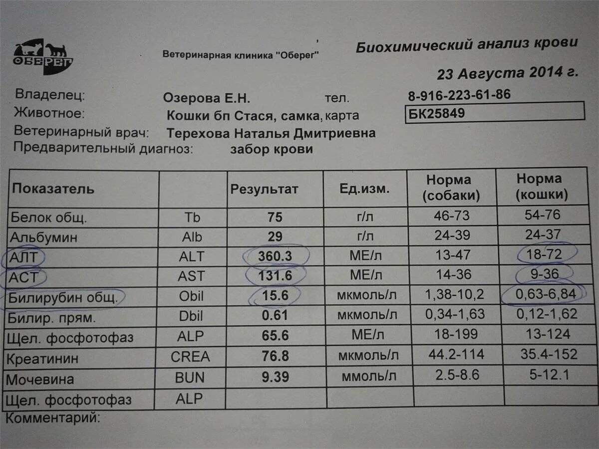 Сильно повышен алт. Биохимический анализ крови показатели нормы алт. Норма анализа алт и АСТ У женщин. Биохимический анализ крови расшифровка алт норма. Алт норма АСТ норма.