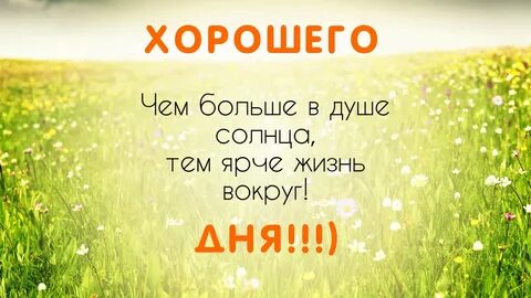 Лето короткая жизнь
