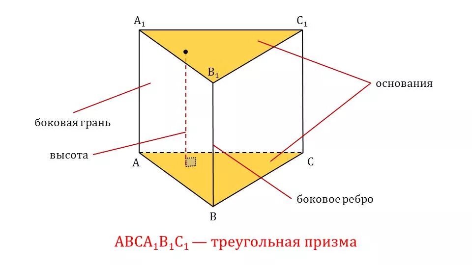 Ребра и грани призмы треугольной
