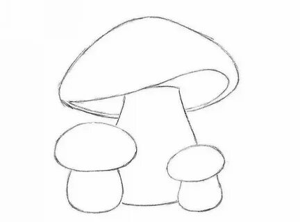 Рисунки грибов простым карандашом фото