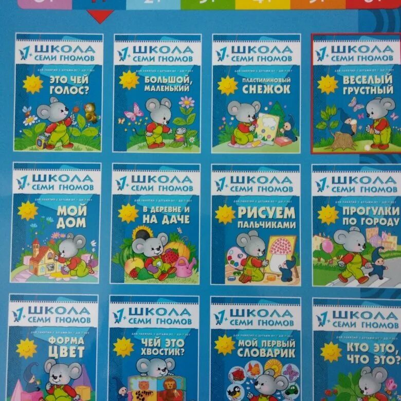 школа семи гномов 6 лет. книги школы семи гномов. школа семи гномов в книге. книжка школа семи гномов. книжки для развития "школа семи гномов".