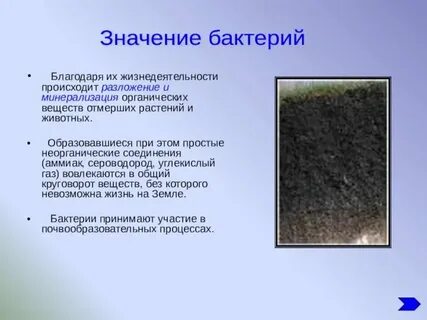 Разложение в органической химии