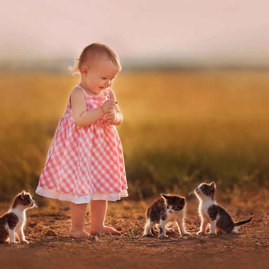 Девочка с котятами. Маленький котенок для детей. Ребенок. Маленькие детки. Гуляем крошки