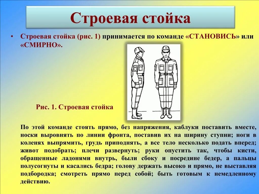 Строевая стойка. Строевая стойка смирно. Строевая стойка команды. Выполнение строевой стойки. Что делают участники по команде стой