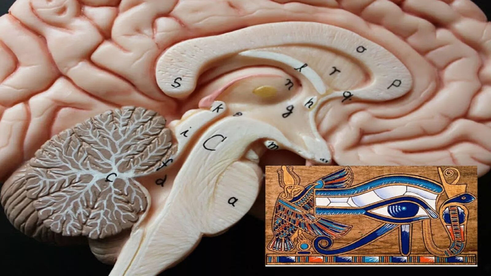 Железа мозга 7. Шишковидная железа дмт. Эпифиз дмт. Шишковидная железа око гора. Третий глаз гипофиз шишковидная железа.