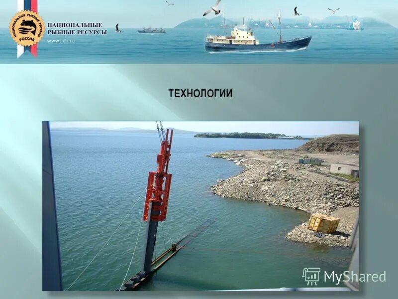 Ямал порт сабетта. Док это в порту. Портовое сооружение 3. Российские порта большой санкт петербург. Портовое сооружение 3.