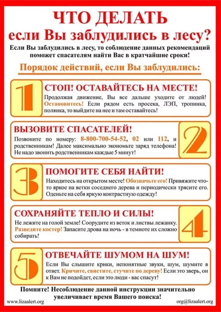 алгоритм действий если заблудился в лесу. что делать если заблудился в лесу памятка. памятка если потерялся в лесу. что делать если потерялся в лесу. памятка если ты заблудился в лесу.