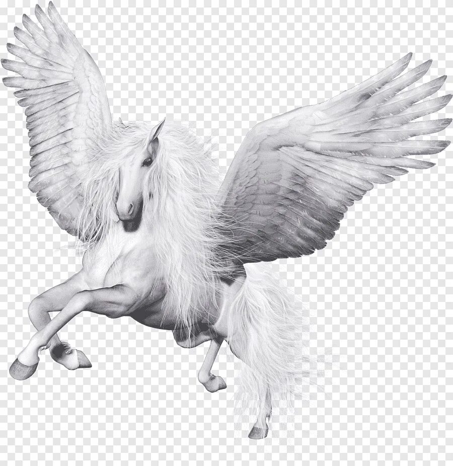 Пегас без крыльев. Белая лошадь с крыльями. Крылатый Единорог. Конь с крыльями. Единорог с крыльями.