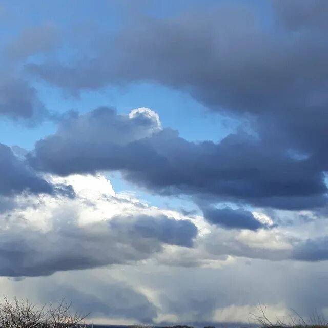 конкурс загадок. нахмурилось небо наверно не в духе. заходер любимые стихи. загадка белые мухи.