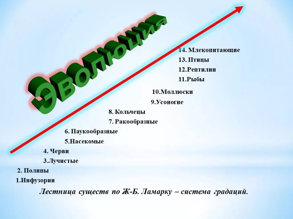 Лестница жизни кратко. Лестница существ. Лестница существ по биологии. Эволюционная лестница по биологии. Лестница жизни биология.