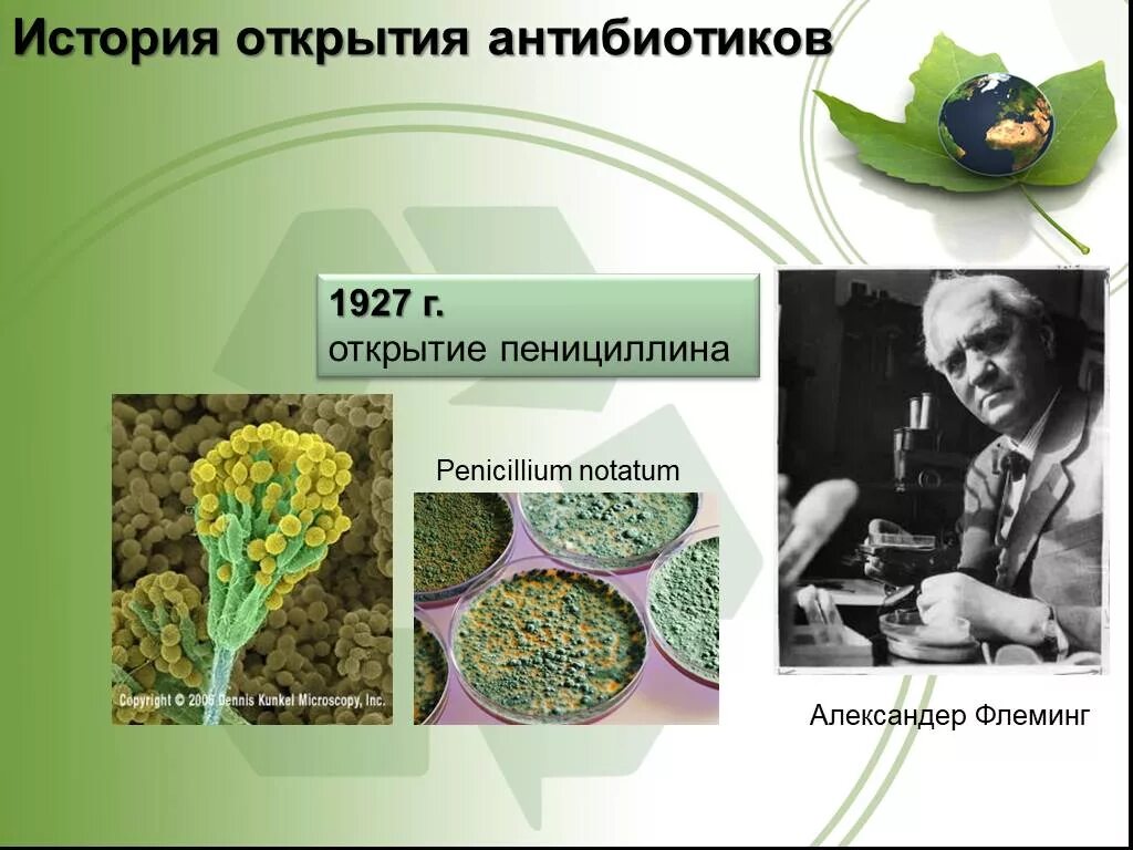 История открытия антибиотиков. История открытия антибиотиков Флеминг. Пенициллин история открытия. Флеминг пенициллин открытие.