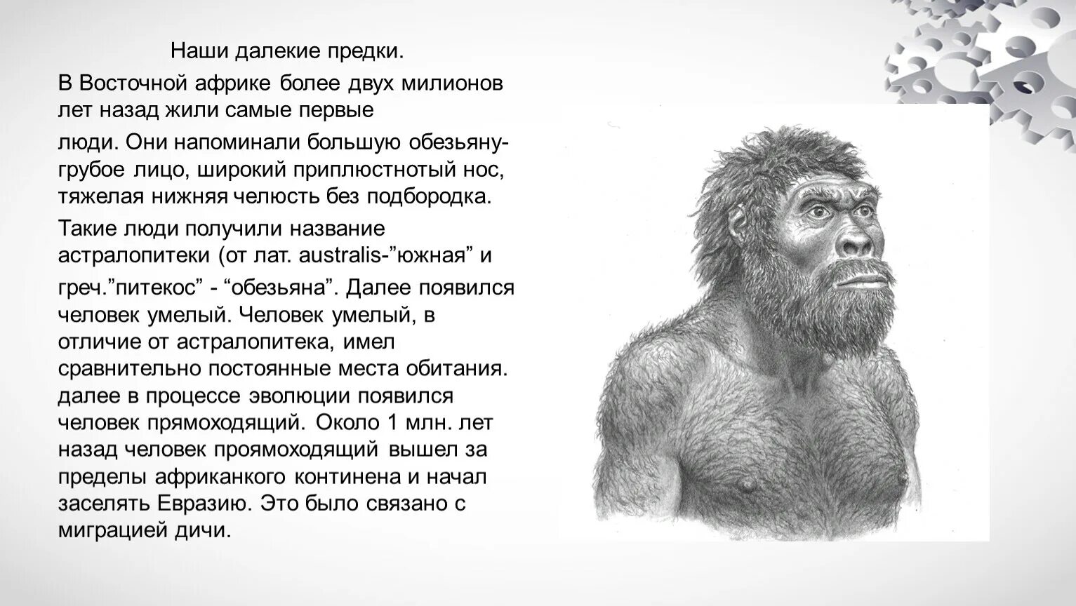 Святой предок 1. Сколько жили люди самые древние. Kromaniontsy predki ludey. Первые люди 200-300 тыс. Лет назад.