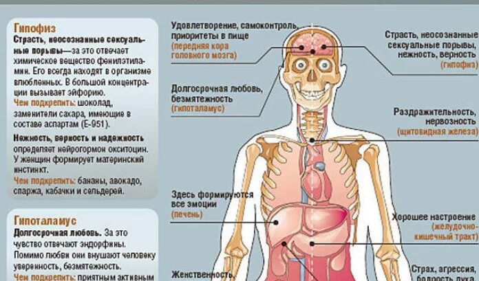 Симптомы страха в теле. Страх в организме человека. Терапии психосоматических расстройств. Физиологические реакции организма на эмоции. Эмоции и внутренние органы.
