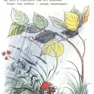 Сказка под грибом в детском саду