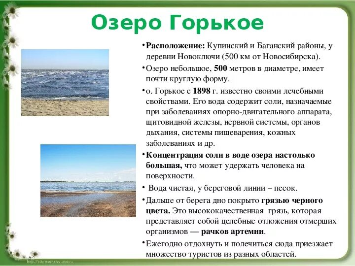 Таблица описания озера. Природные памятники Новосибирской области. Озеро горькое (Купинский и Баганский районы). Природные объекты Новосибирского края. Природа Новосибирской области презентация.