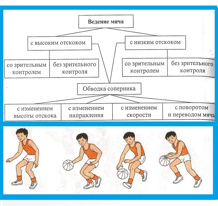 Передачи в баскетболе упражнения. Ведение мяча в баскетболе рисунок. Ведение мяча в баскетболе схема. Ошибки при ведении мяча в баскетболе. Доклад на тему ведение мяча в баскетболе.