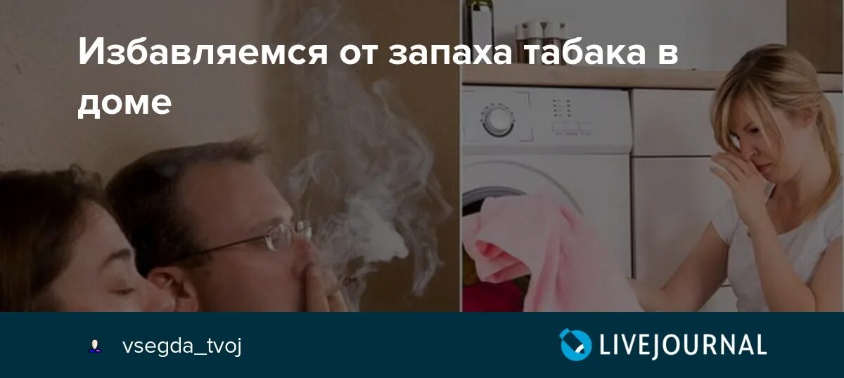 Как избавиться от запаха табака в квартире. Как избавиться от запаха табака. Запах в квартире как избавиться быстро. Как вывести запах сигарет из квартиры. Запах табака в квартире.