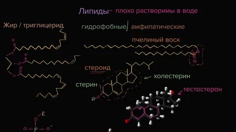 Два слоя липидов с молекулами белков