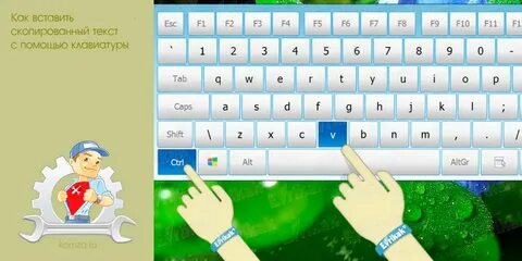 Как копировать на клавиатуре ноутбука и вставлять