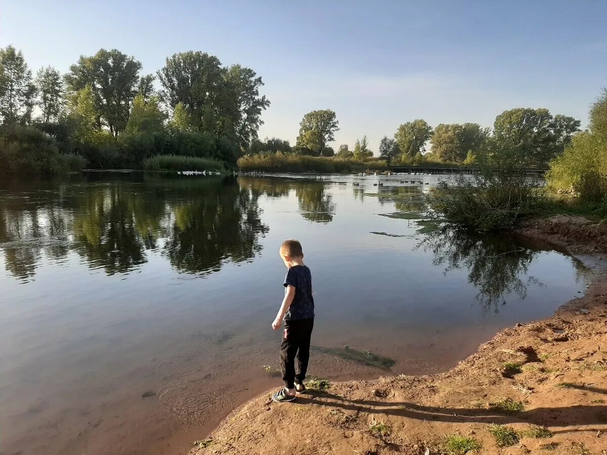 Прогноз дема. Река Дема Альшеевский район. Река Дема Уфа. Дим река в Башкирии. Река Дема Давлеканово.