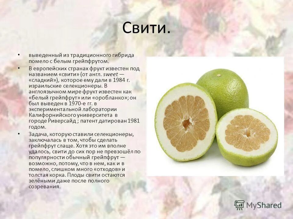 Описание вкуса фруктов. Фрукт цитрус Свити. Помело и Свити. Чем полезен фрукт Свити. Свити фрукт польза и вред.