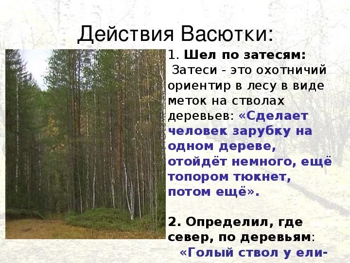 Васюткино озеро 3 день в тайге. Васюткино озеро на карте. Васюткино озеро маршрут Васютки. Маршрут Васюткино озеро. Затеси это Васюткино озеро.