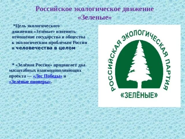 Природные организации россии. Российское экологическое движение «зеленые». Экологические организации в России. Российские экологические организации. Российское экологическое движение зеленые цели.