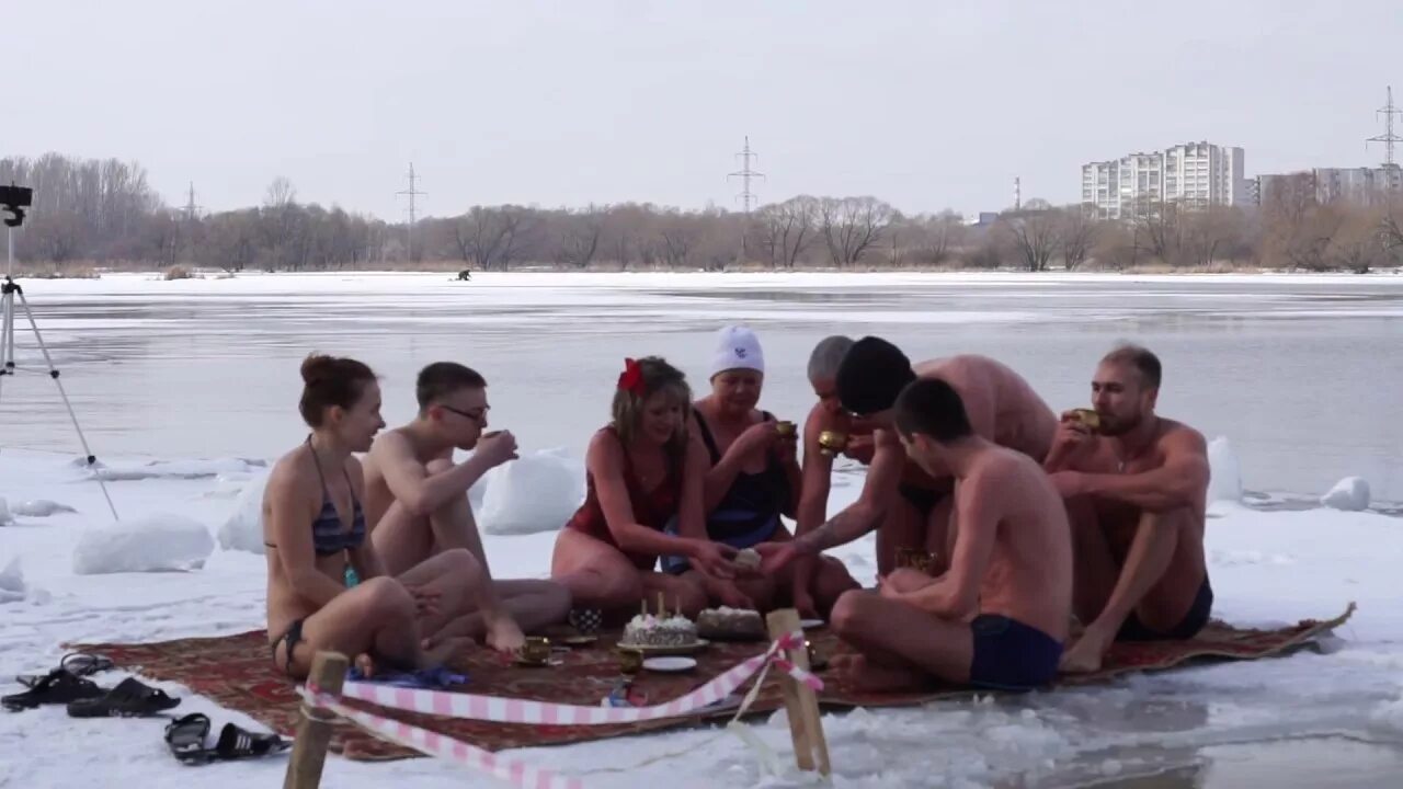 Морж песня. Морж на льдине. Клуб моржей. Клуб моржей серебряный Бор.