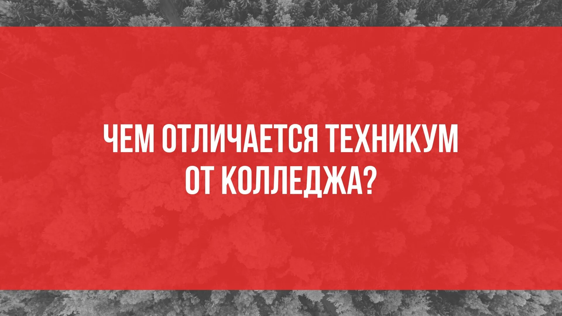 Чем отличается техникум от колледжа и училища. Техникум и колледж отличия. отличие пту от колледжа.