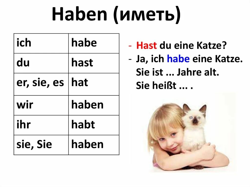 Sie ist alt. Haustiere презентация. Хабен иметь. Haustiere топик по немецкому. Hast du eine Katze ответ.