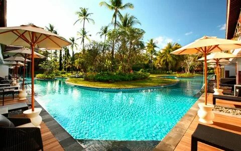 Melia bali