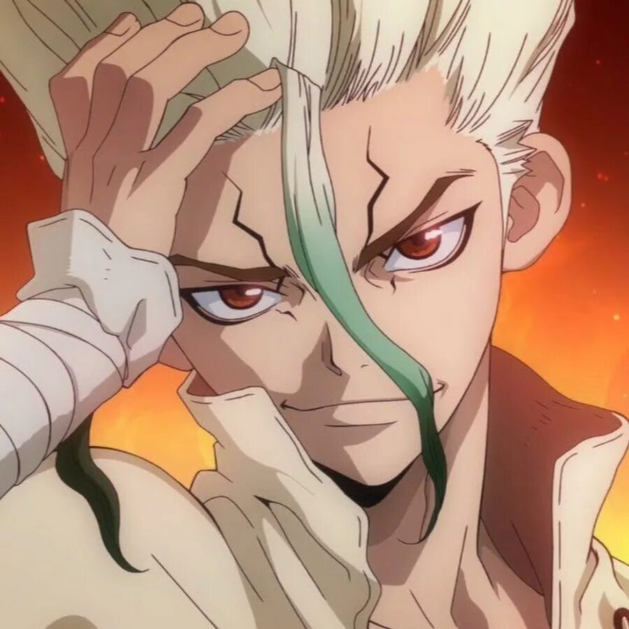 Dr stone 2019. Сэнку доктор Стоун. Доктор Стоун Исигами сенку. Доктор Стоун сенку скрины.