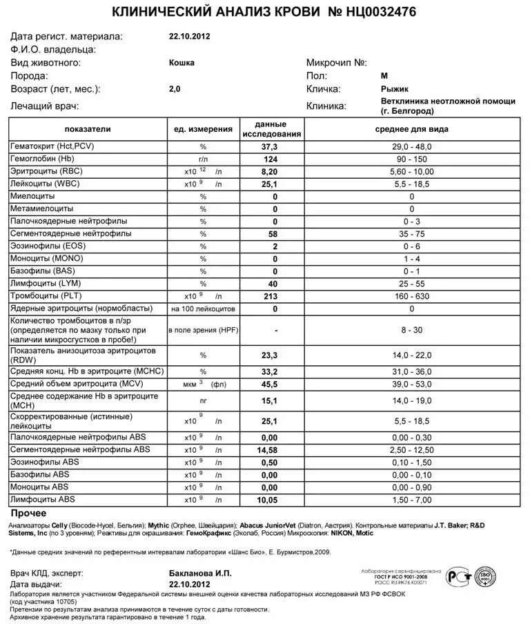 Клинический анализ крови можно есть