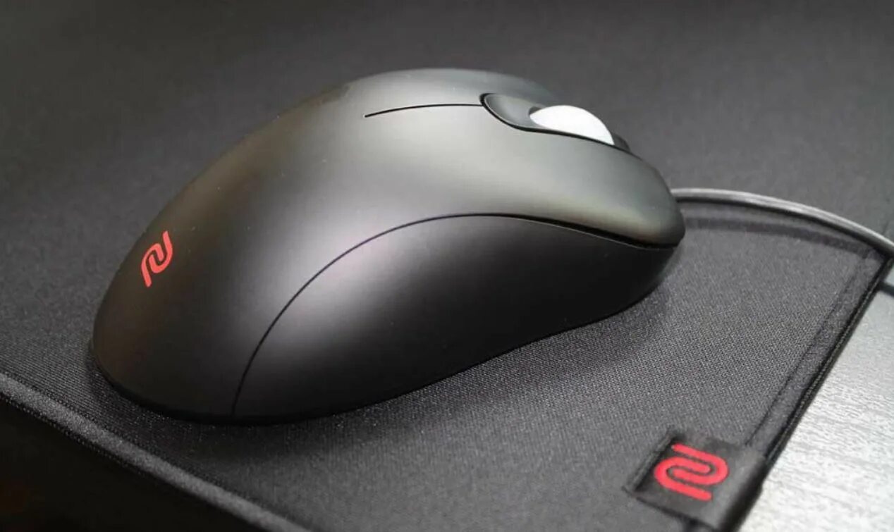 Zowie. BENQ Zowie ec2. Zowie ec1. Игровая мышь Zowie. Мышка Zowie ec1 New.