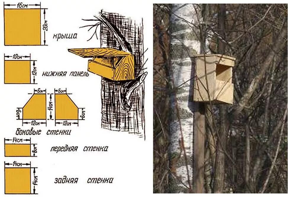 Скворечник в какую сторону света. Скворечник "синичник". Синичник дуплянка. Синичник для птиц Размеры. Чертеж синичника.