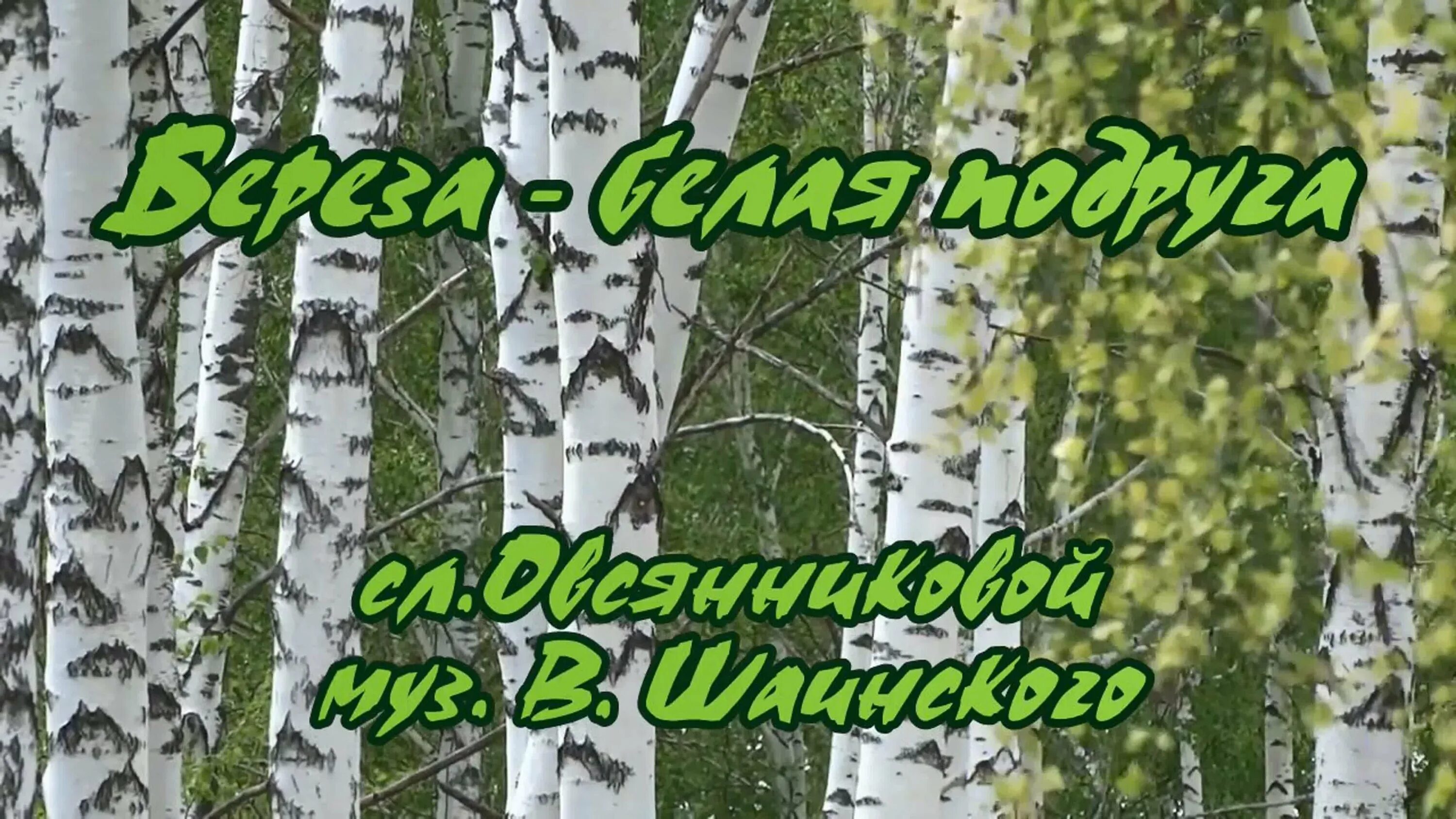 Белая береза. Берёза белая подруга. Караоке белая береза. Белая береза минус. Березка mp3