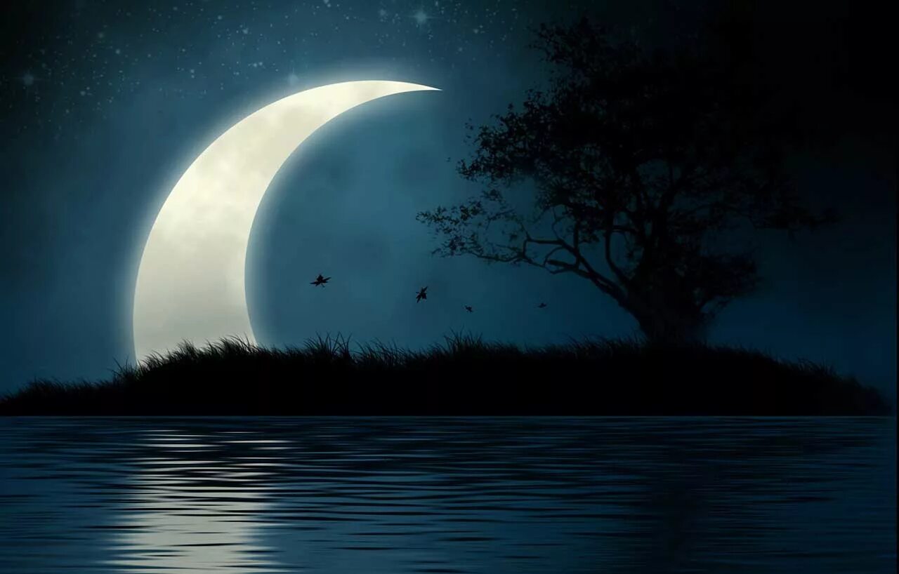 Ночь ночь насколько. Красивая ночь. Лунный пейзаж. Картина Луна. Ночной пейзаж.