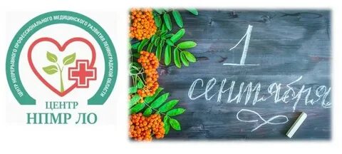 Центр нпмр