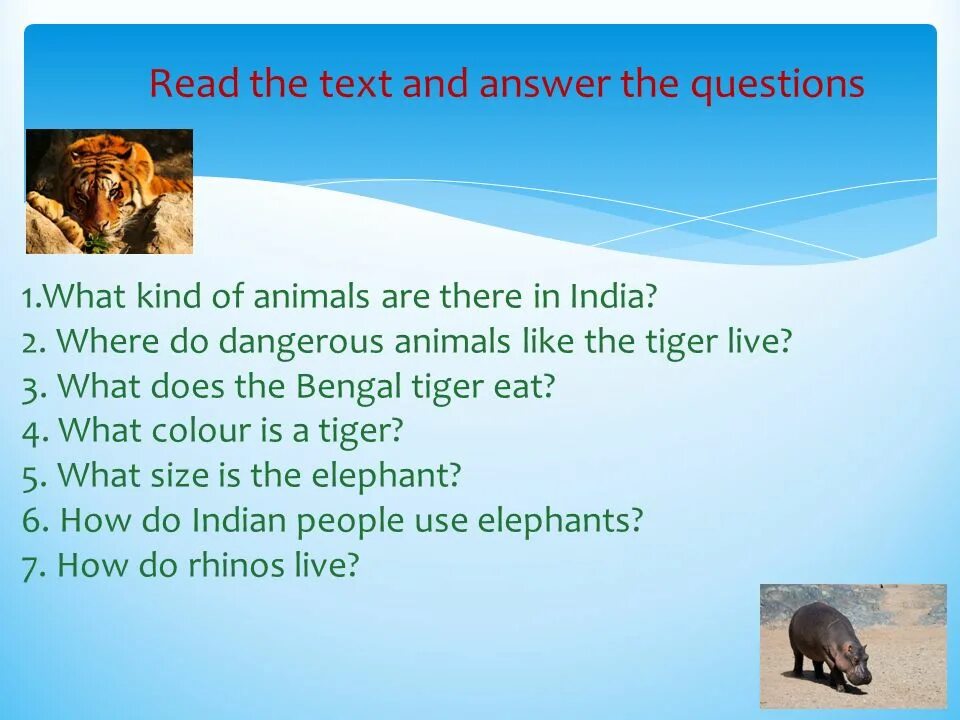 Animals in danger at present. What kind of animals are there. Animals English презентации. Wild animals стих. Animals of India 5 класс.