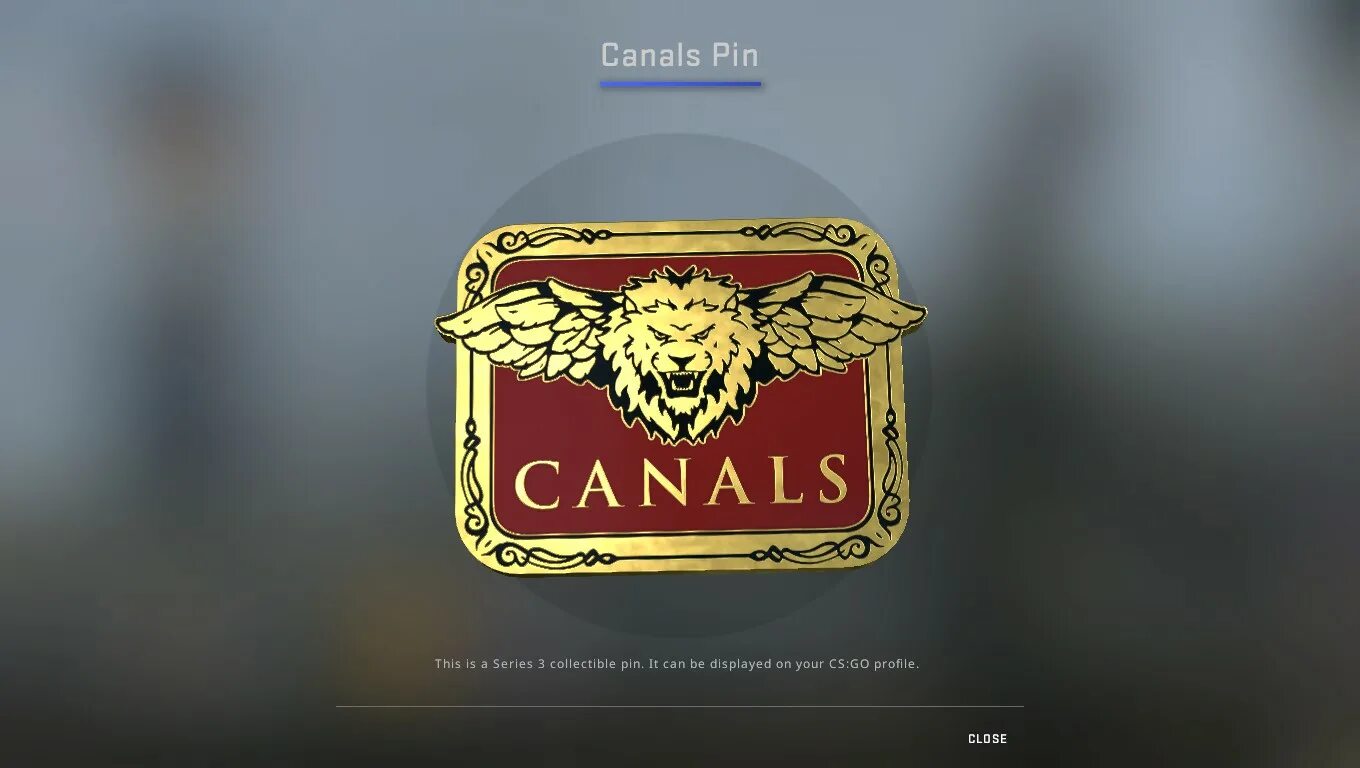 Canals Pin. Canals Pin в КС го. Genuine Pin CS go. Пин гоу