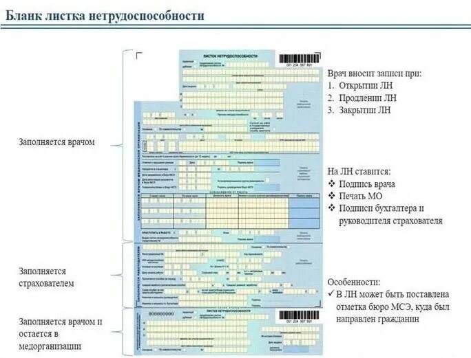 1с больничный по беременности и родам. Лист нетрудоспособности бланк. Форма Бланка листка нетрудоспособности. Пример заполнения листка нетрудоспособности. Заполненный лист нетрудоспособности.