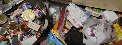Чекалины задержаны на 48 часов