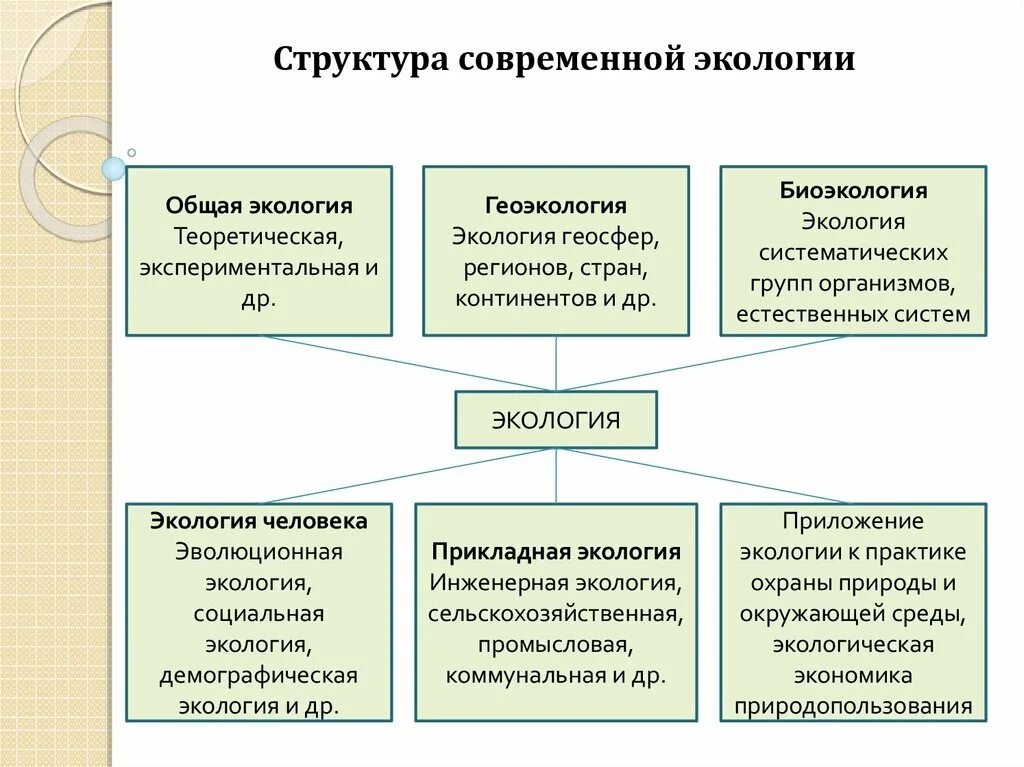 Структура природных ресурсов и экологии. Структура общей экологии. экологические основы экономики природопользования. основы экономики природопользования в экологии. экологические основы природопользования заключение.
