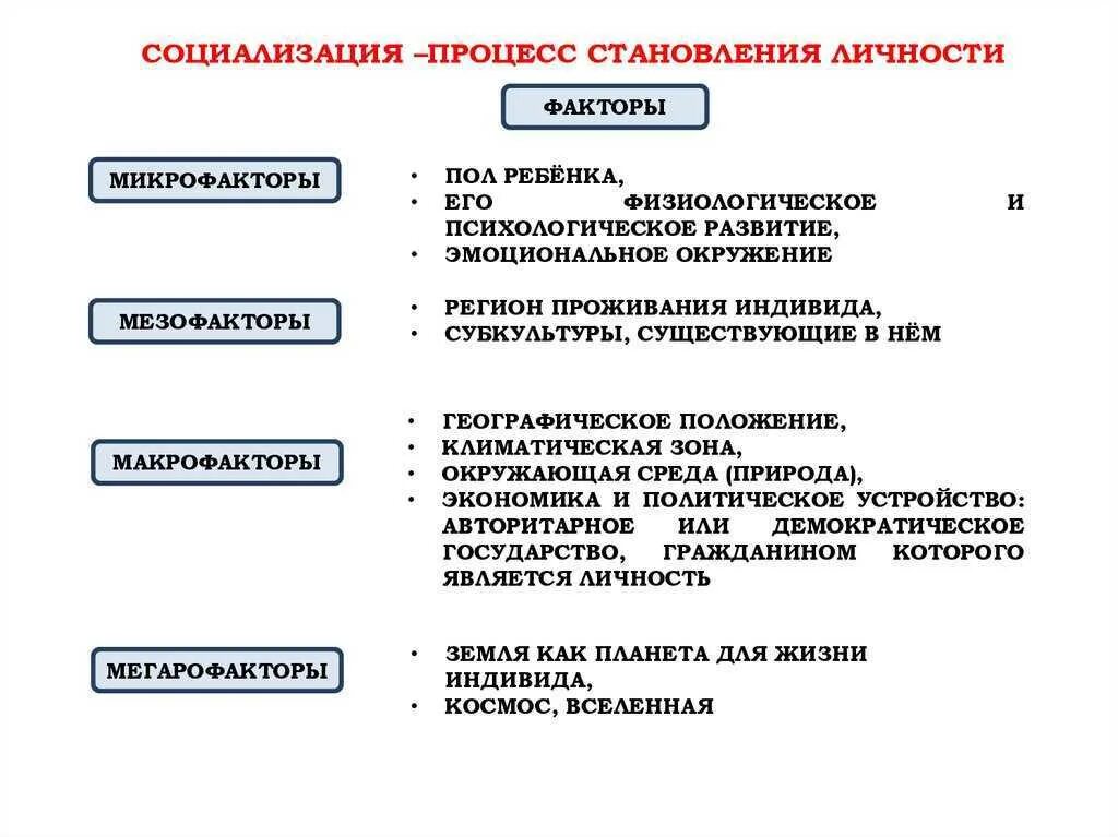 Сложный план социализация. Социализация личности 11 класс егэ. Социализация индивида понятие. План социализация личности егэ обществознание. Социализация план егэ.