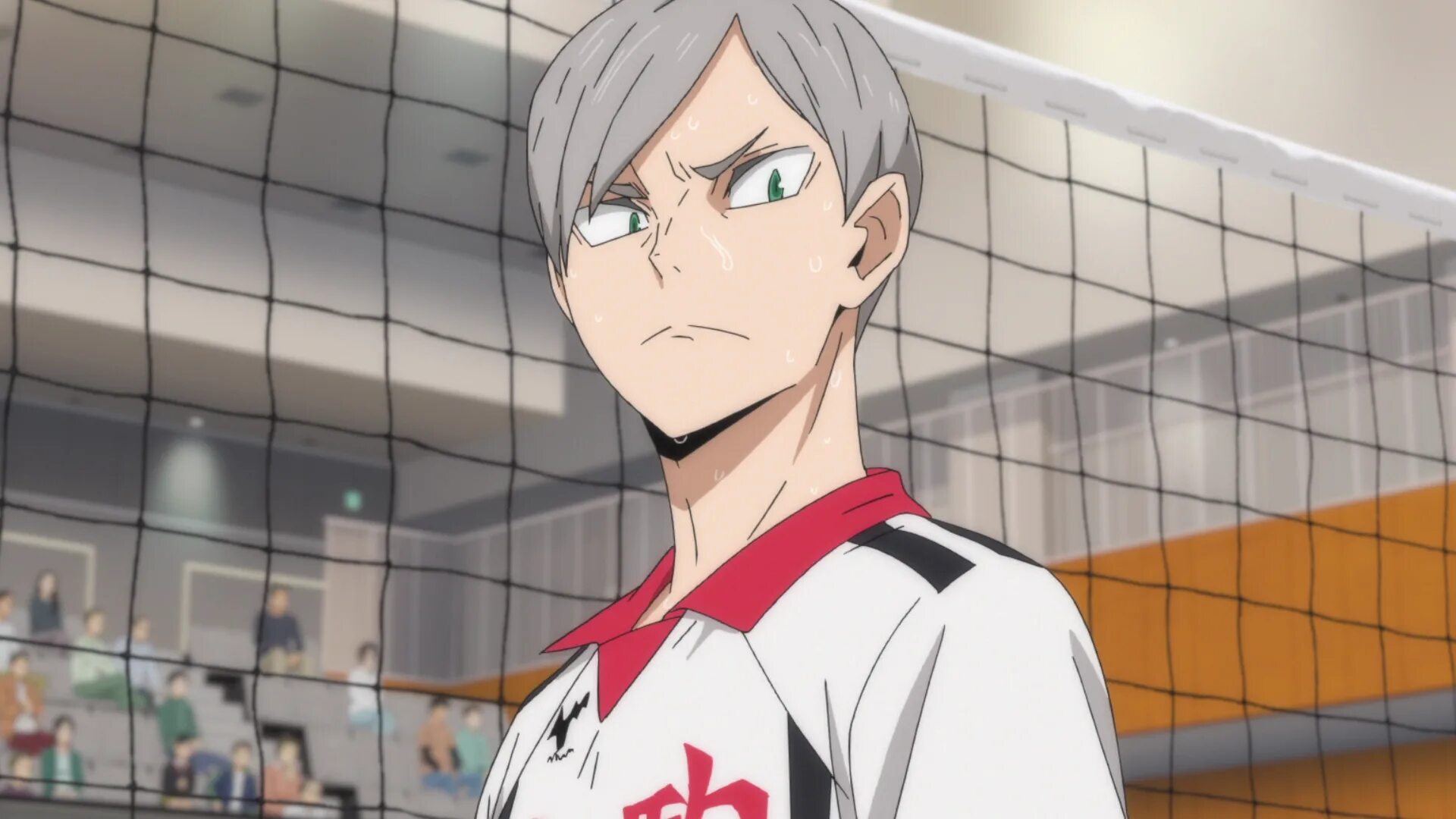 Львы про волейбол. Лев хайба волейбол. волейбол некома лев.