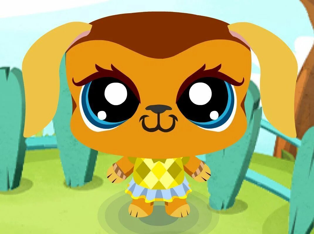 Littlest pet shop последняя версия. My little Pet shop. Littlest Pet shop попугай.